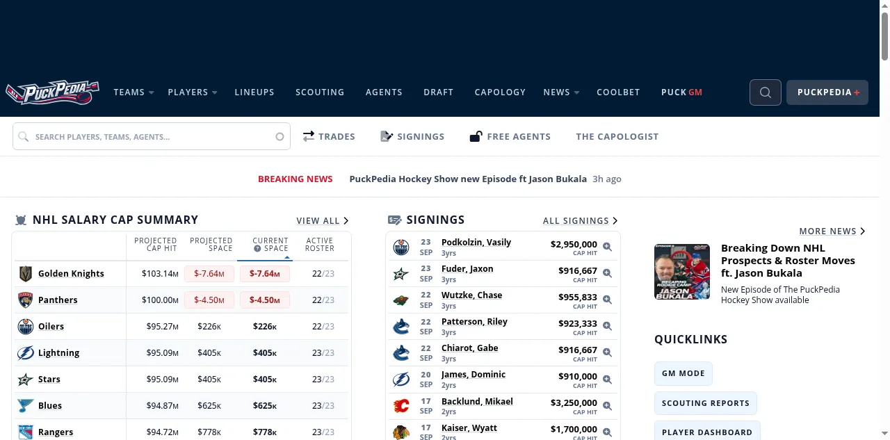 Preview of puckpedia.com