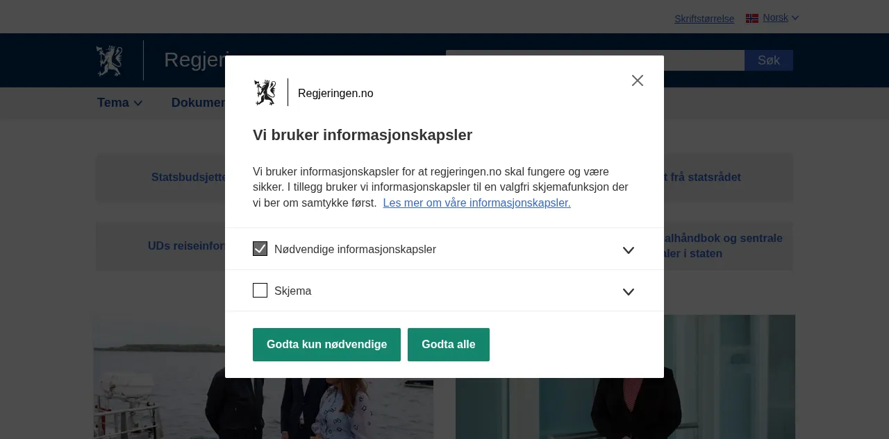 Preview of regjeringen.no