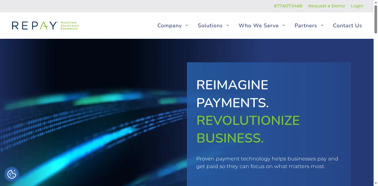 Preview of repay.io