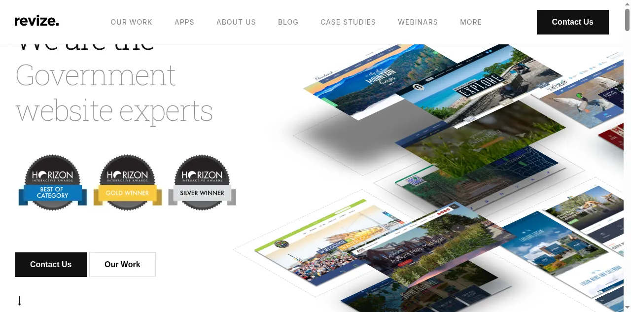 Preview of revize.com