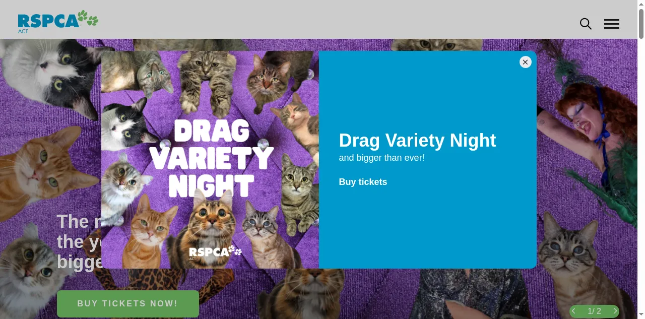 Preview of rspca-act.org.au