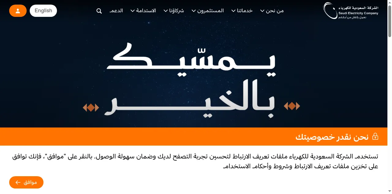 Preview of se.com.sa