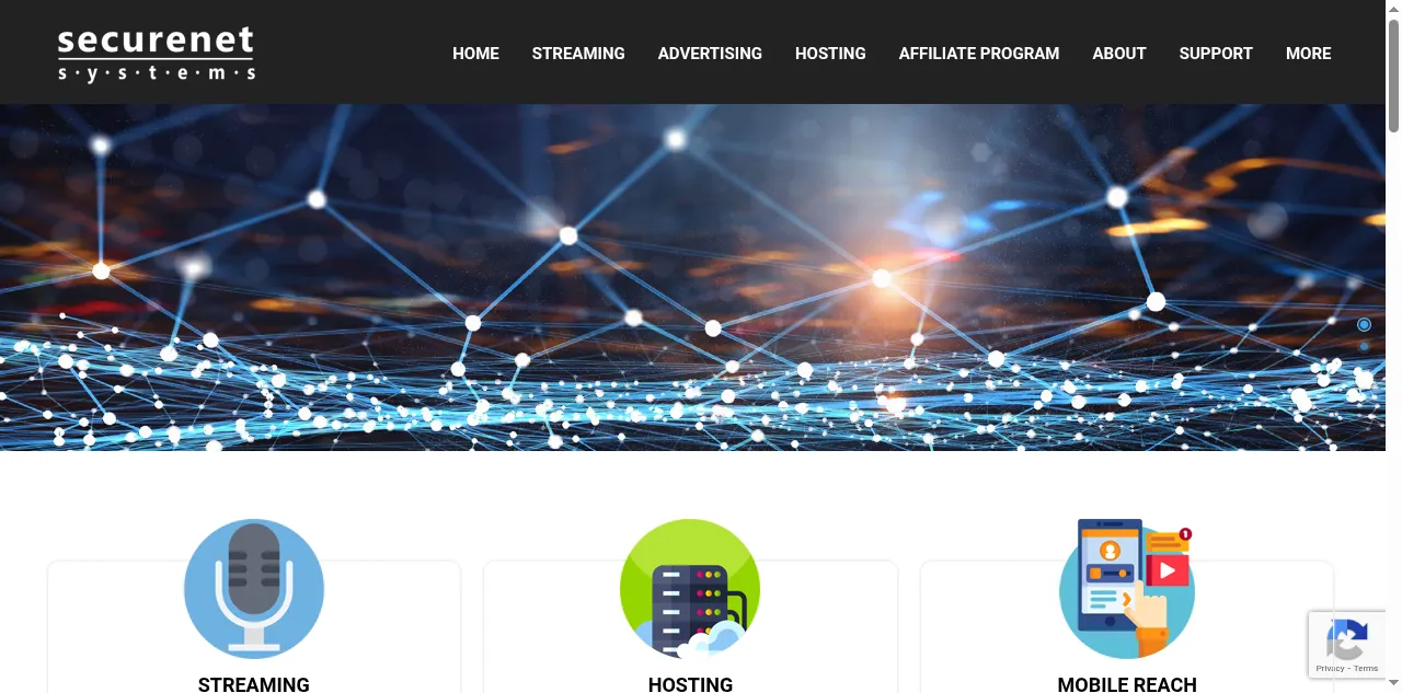 Preview of securenetsystems.net