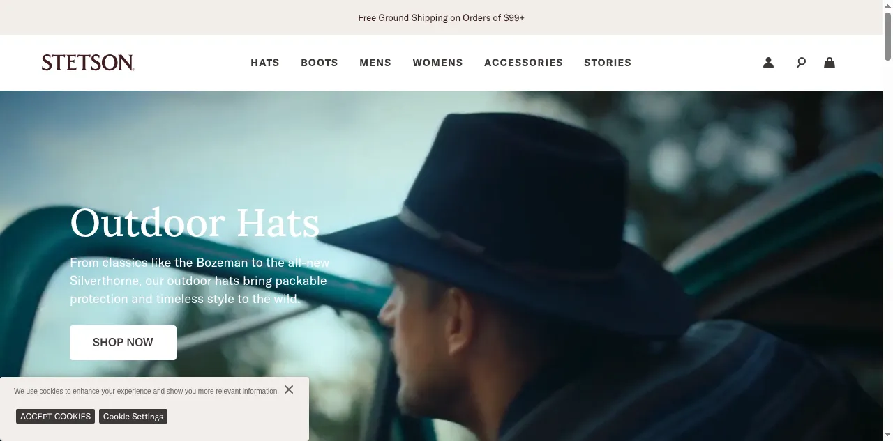 Preview of stetson.com