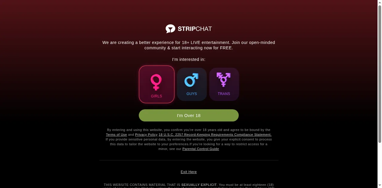 Preview of stripchat.com