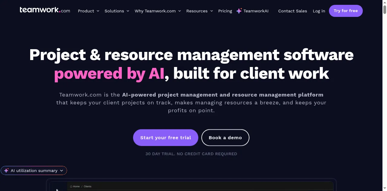 Preview of teamwork.com