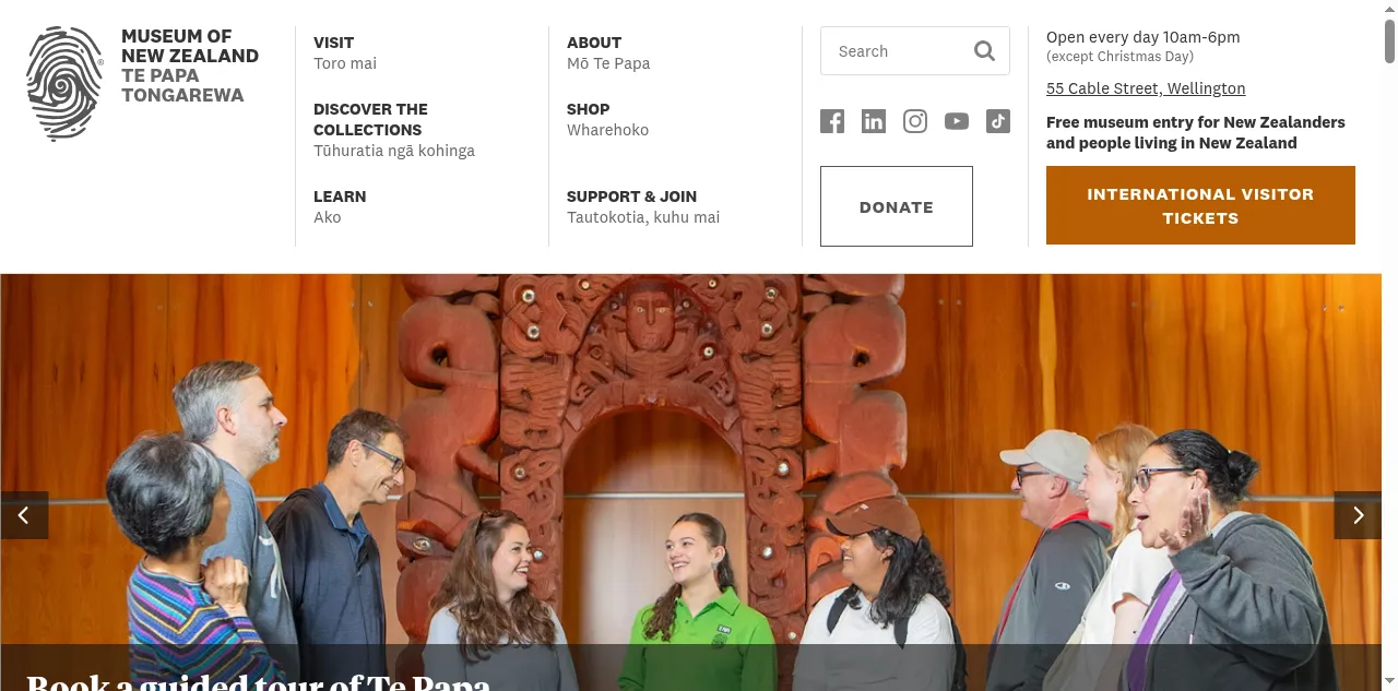 Preview of tepapa.govt.nz