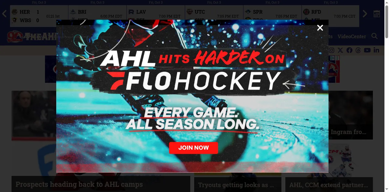 Preview of theahl.com