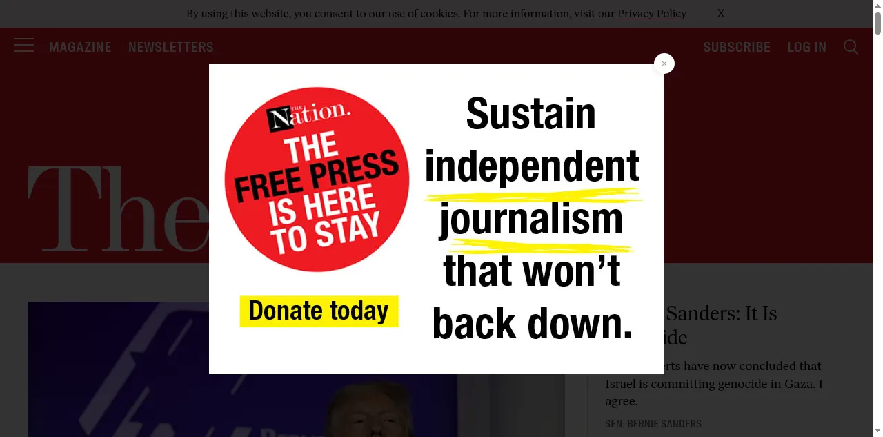 Preview of thenation.com