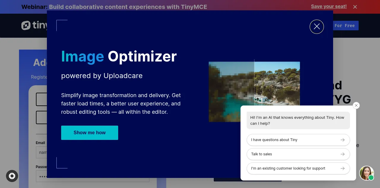 Preview of tiny.cloud
