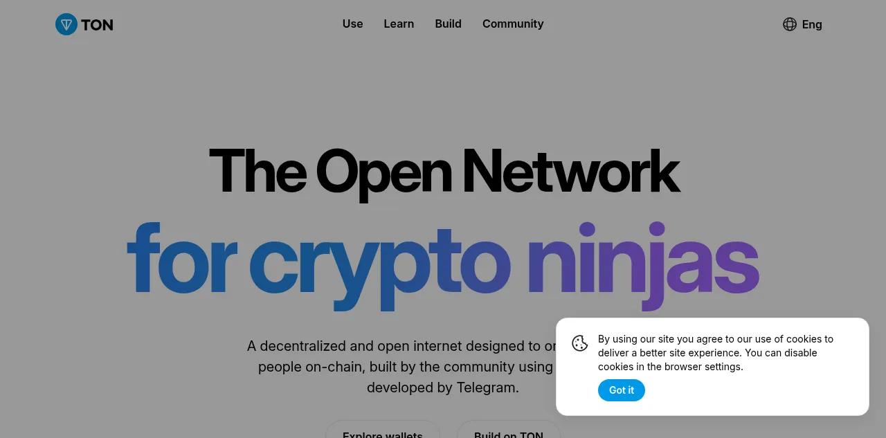 Preview of ton.org