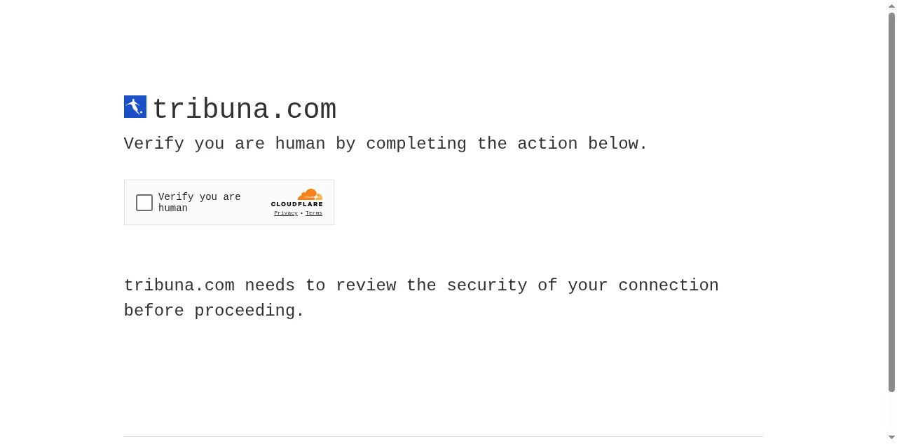 Preview of tribuna.com