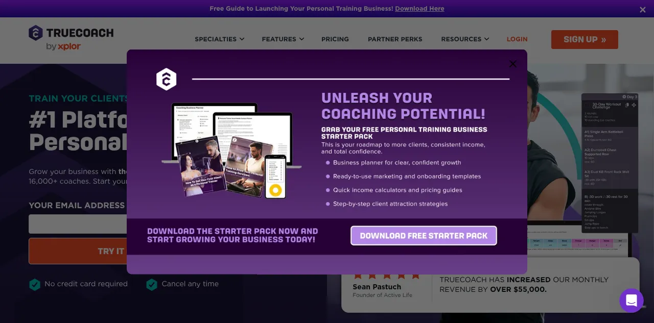 Preview of truecoach.co