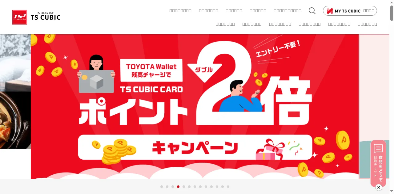 Preview of tscubic.com