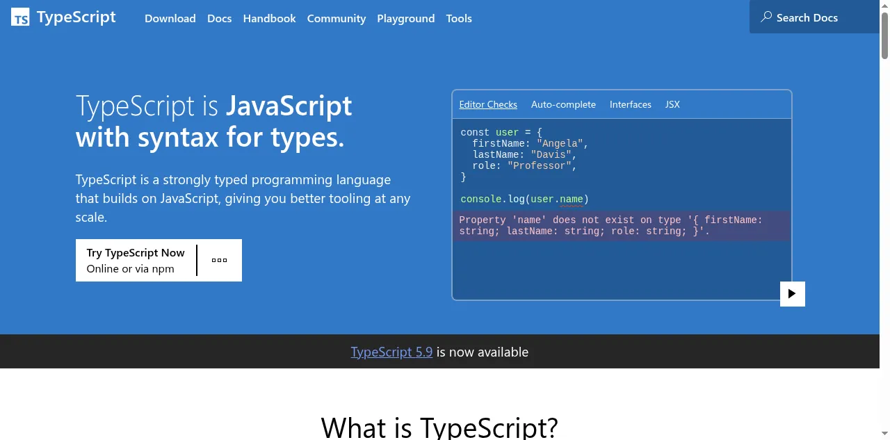 Preview of typescriptlang.org