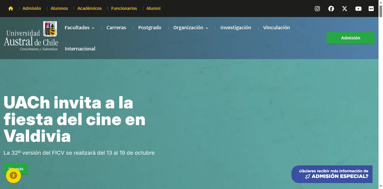 Preview of uach.cl