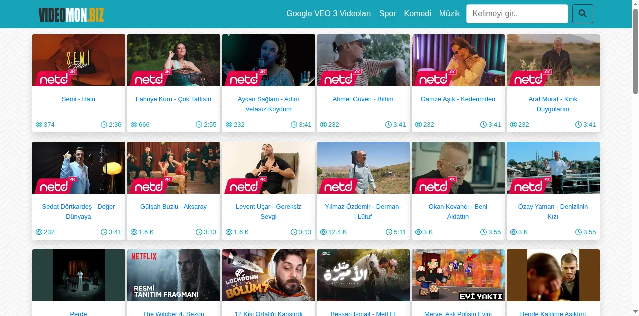 Preview of videomon.biz