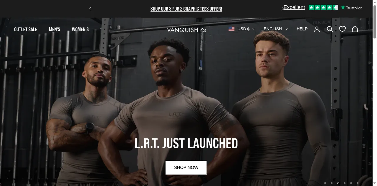 Preview of vqfit.com