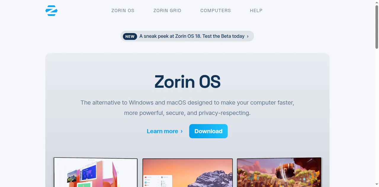 Preview of zorin.com